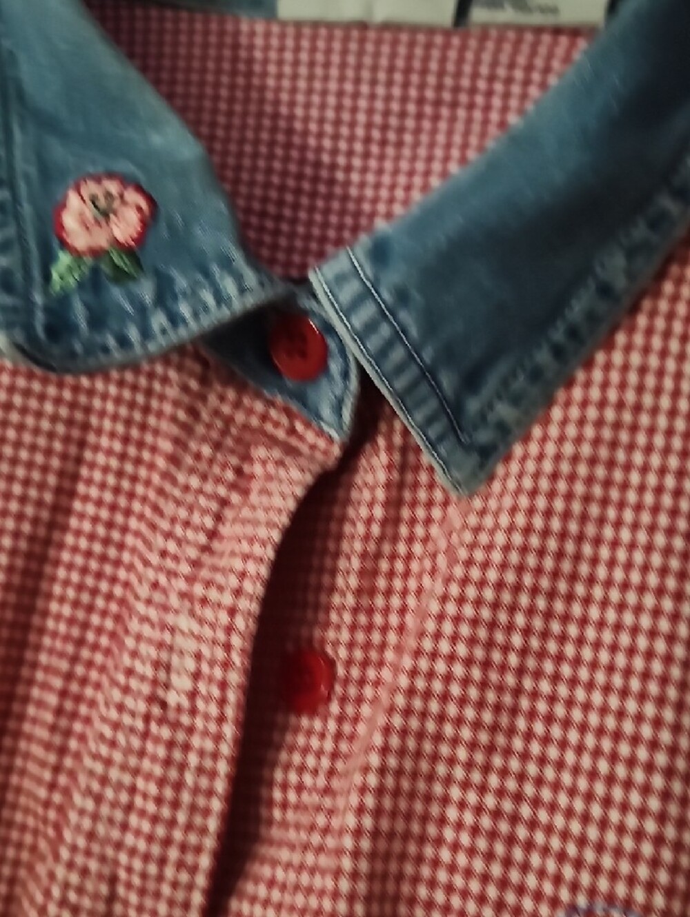 Red Gingham Short Sleeve Button-Up Shirt with Floral Embroidery - Picture 3 of 6
